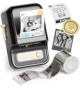 NIIMBOT B21 Pro Label Maker, 300DPI HD Label Printer, Ideal for Notes,Photos, Study Graphics, Mem...