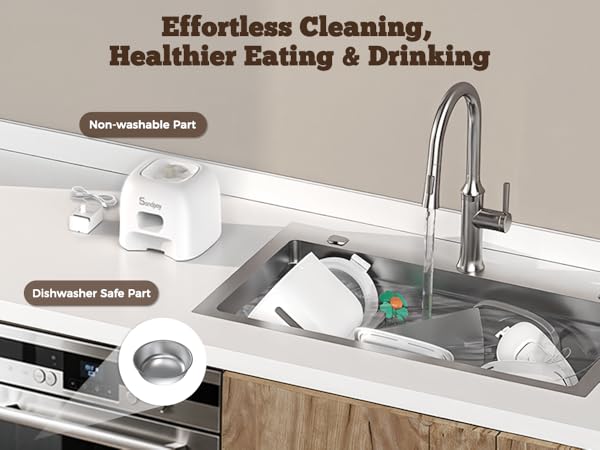 Automatic Cat Feeder