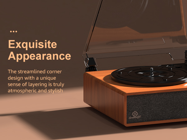 turntable for vinyl records