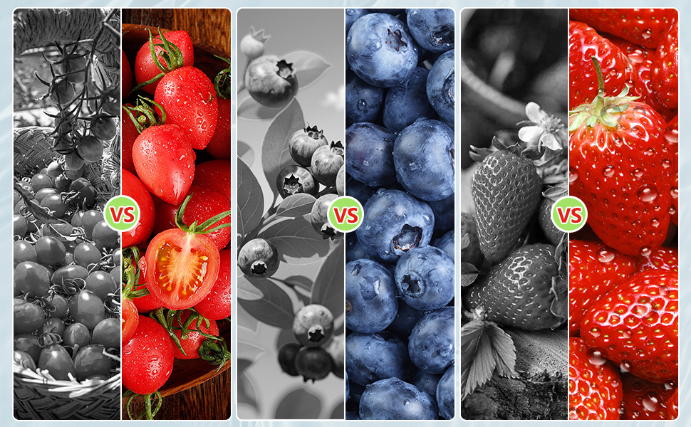 Comparative Effects of Fruit and Vegetable Washing to Protect Children's Health