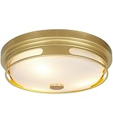 Rosient Close to Ceiling Light Fixture, 16 Inch Large Flush Mount Ceiling Light with Frosted Glas...