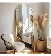 Prywot Arched Full Length Mirror, 64"x21" Free Standing Floor Mirror, Modern Full Body Mirror wit...