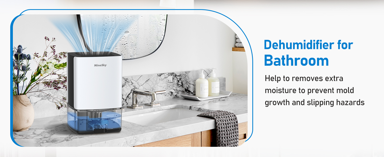 Dehumidifier