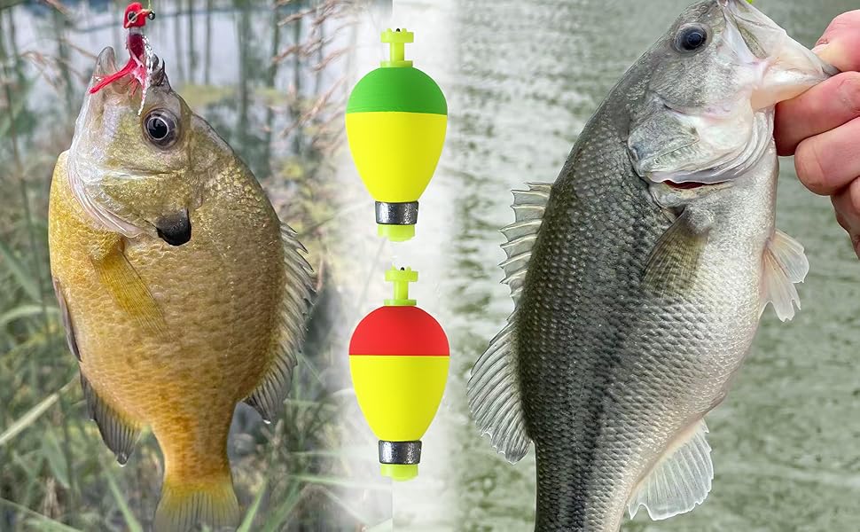 bobbers for fishing