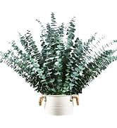 48 Pcs Large Dried Eucalyptus Stems - Natural Eucalyptus Branches for Shower Hanging, 17" Preserv...