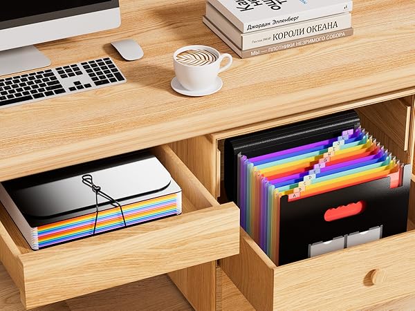 Accordion File Organizer