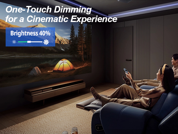 Dimmer light switch-LIVING ROOM