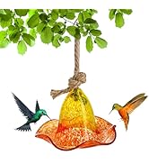 YU FENG Glass Hummingbird Feeder Outdoor Glass Garden Decoration for Gardeners and Bird Enthusias...