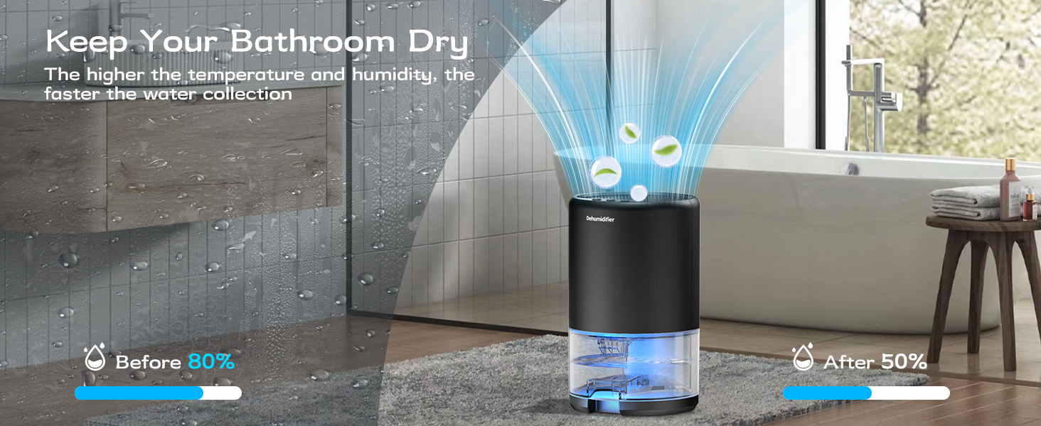 dehumidifiers for home