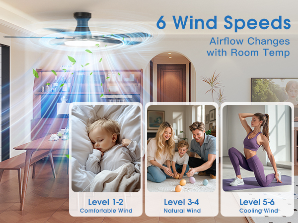 Ceiling fans with 6 speeds