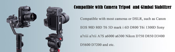 vertical camera mount