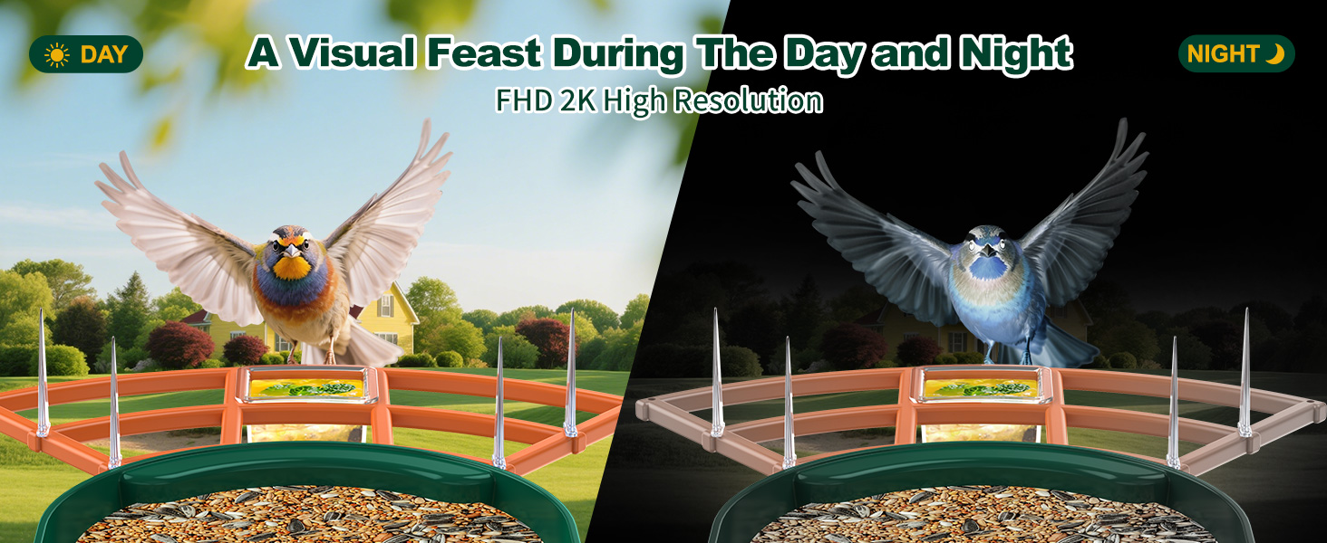 bird feeder with camera orange