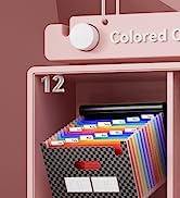 accordian file organizer 12 pocket expanding file with labels
