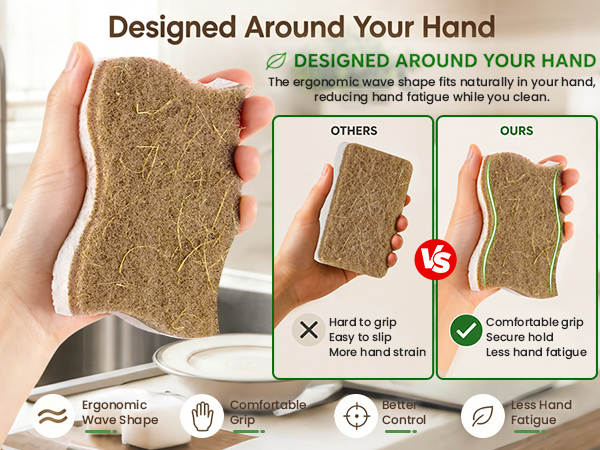 dish sponges