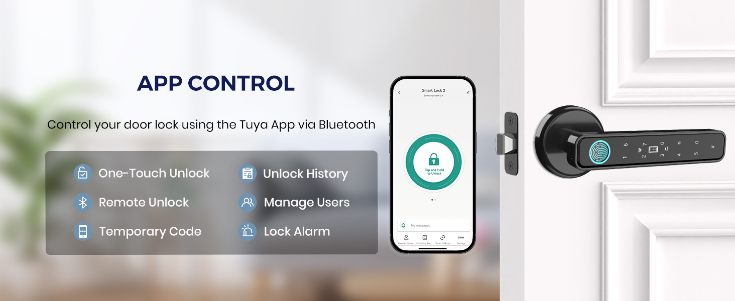 electric door locks for bedrooms, keypad door lock with app control, smart door handle lock