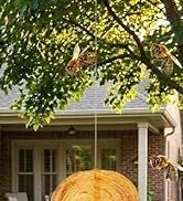 GWHOLE 2 Pack Hanging Fake Wasp Nest Fake Hornets Yellow Jackets Nest Decoys for Garden Outdoor