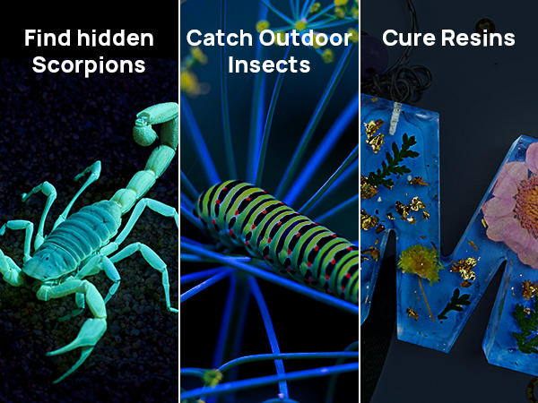 uv flashlight for scorpions