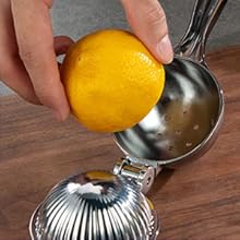 lemon squeezer juicer