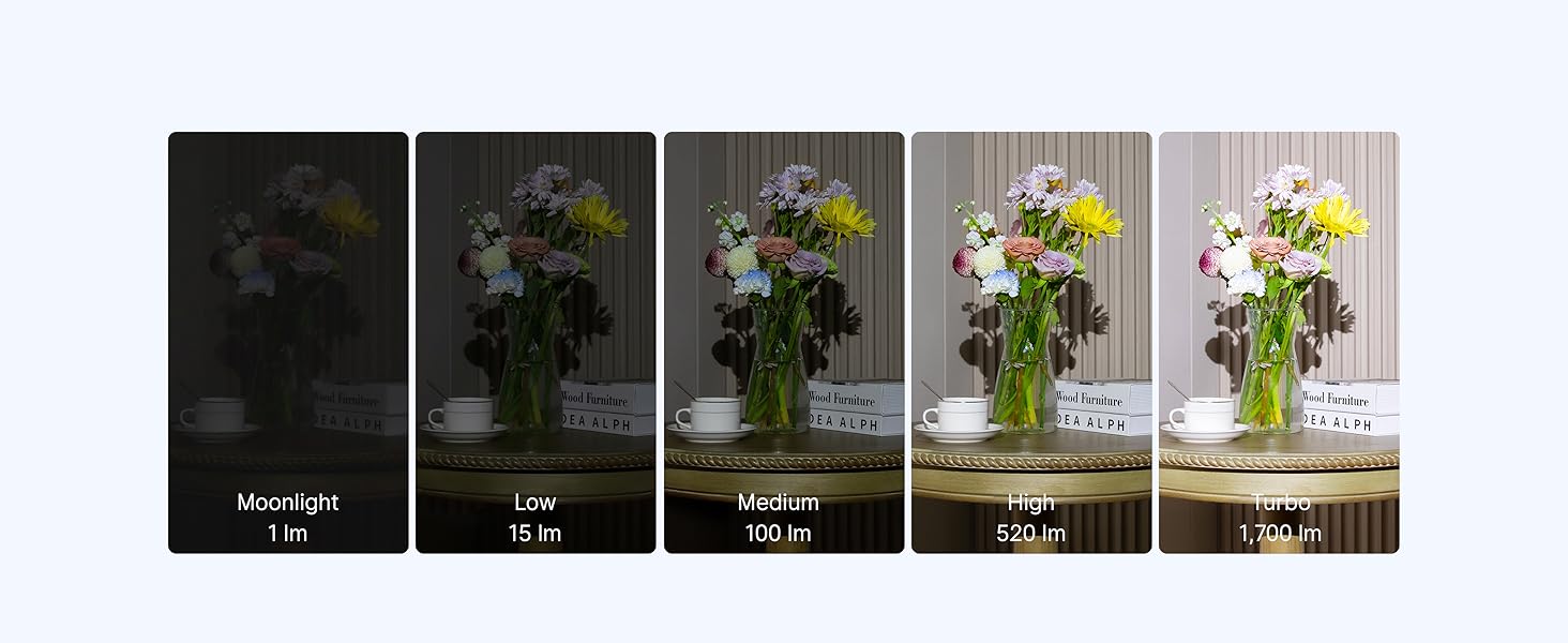 Pure Flood has five levels and it works for maintenance, machining, plumbing and checking your car