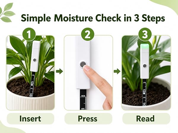Simple Moisture Check in 3 Steps