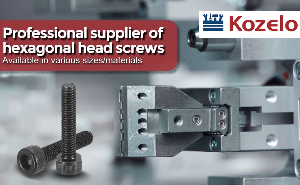 Carbon steel hex socket cap screws