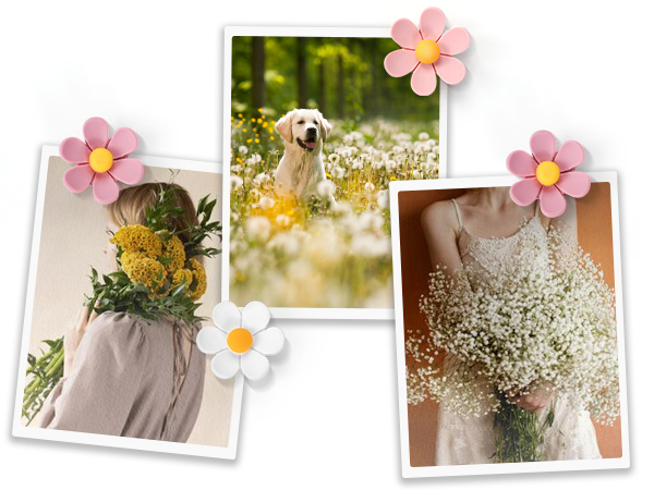 thumb tacks for wall