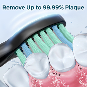 sonic electric toothbrush for adults