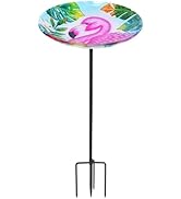 Bird Baths for Outdoors, Glass Birdbaths Outdoor Garden Birdfeeder with Metal Stake for Lawn Yard...