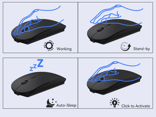 mouse