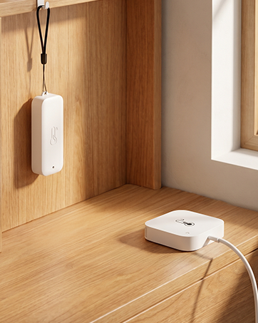WiFi Freezer Thermometer