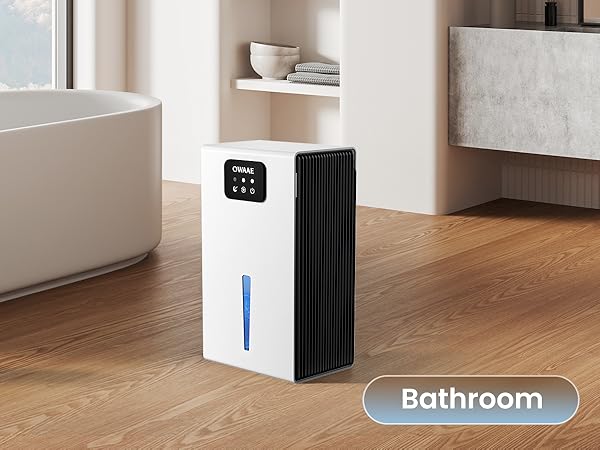dehumidifier for bathroom