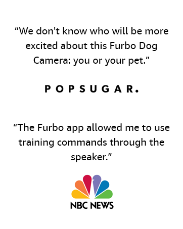 quotes about furbo