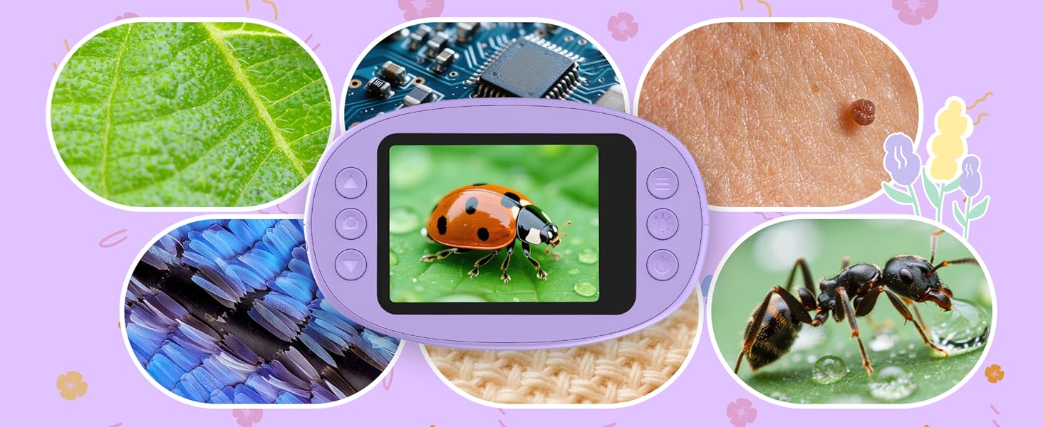 Educational nature illustration featuring insects and leaves, including ladybug, ant, and leaf details. Digital device screen shows magnified leaf image among illustrated elements.