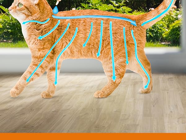Topical on pet body