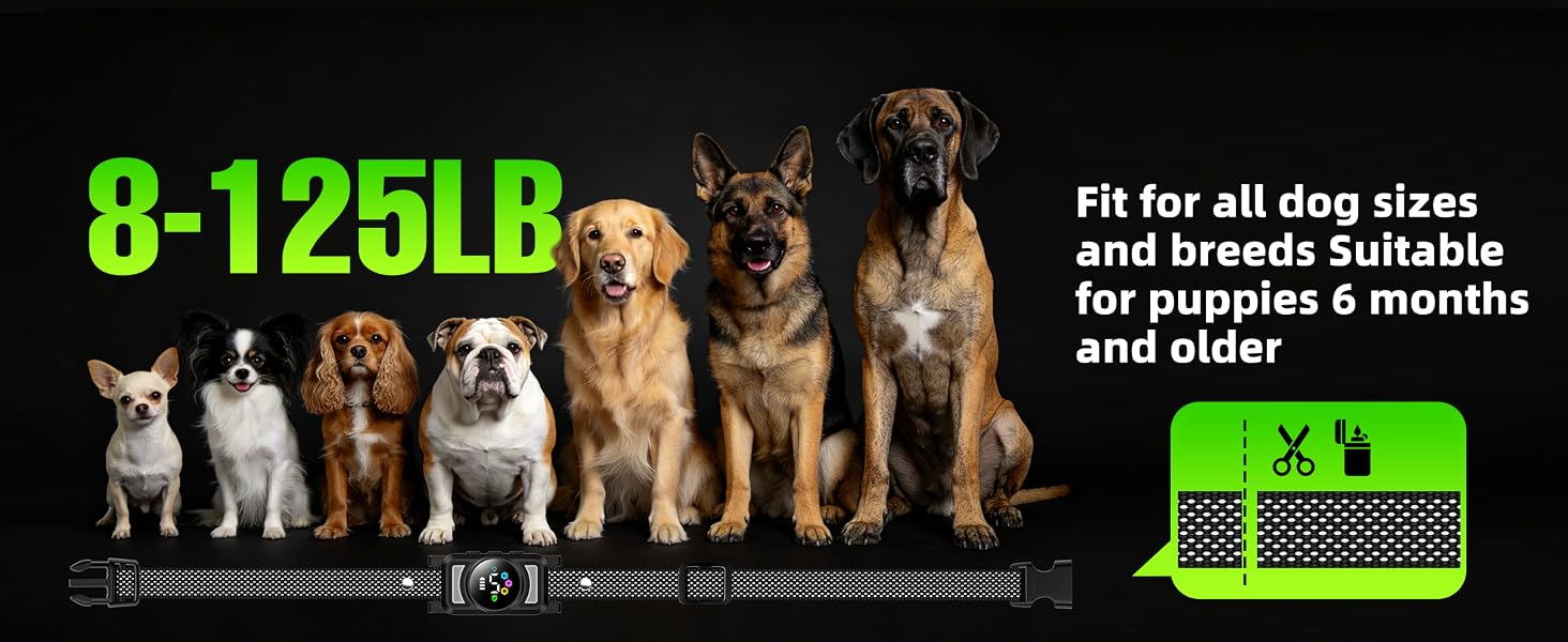 BARK COLLAR