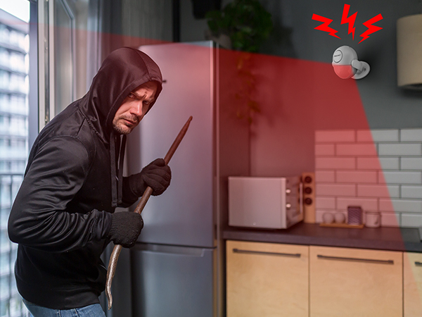 Indoor Motion Sensor Alarm