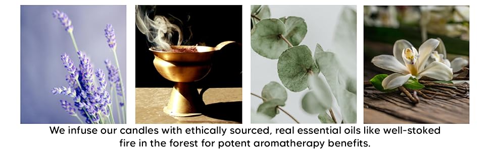 infuse candles ethical essential oils well stoked fire forest vanilla potent aromatherapy benefits