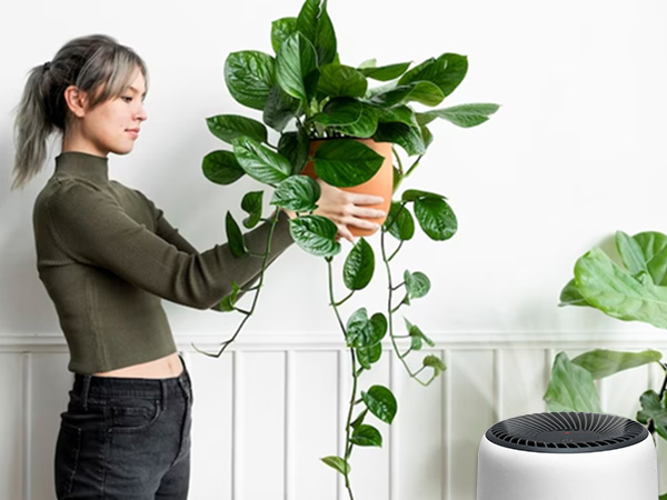 core mini filter help you stick to your plant hobby