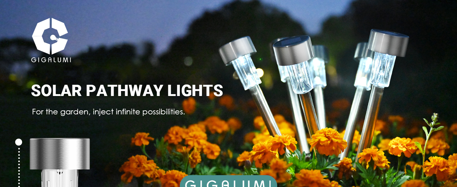 solar lights