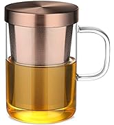 Ecooe Borosilicate Glass Tea Cup Tea Glasses with Stainless Steel Infuser &amp; Lid, 500mL / 16.9 Oz ...