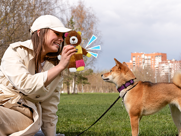 dog plush toys