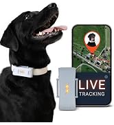 PAJ GPS Dog Tracker with 3 Months Premium Subscription Incl. Live Tracking for Dogs with Virtual ...