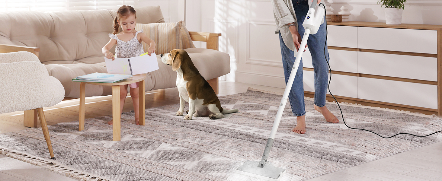 steam mop