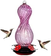 Hummingbird Feeder for Outdoors Hanging, Hand Blown Glass 24 OZ Capacity Hummingbird Bird Nectar ...