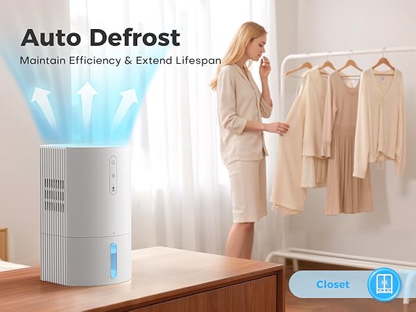 Quiet dehumidifier for home
