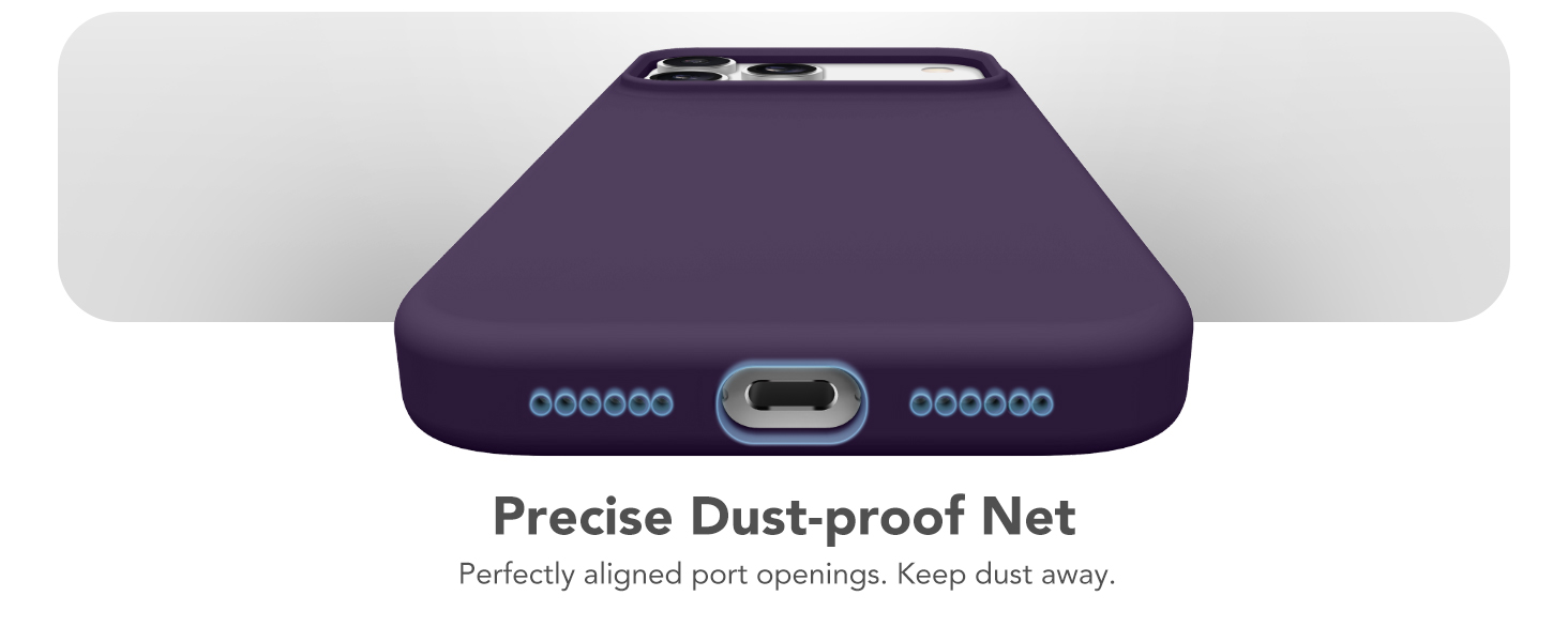 17 pro max case silicone