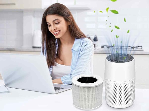 LQ-Mini-AA-1200900-A12