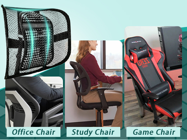 mesh lumbar support