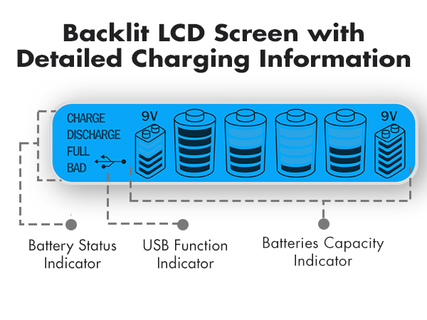 Backlit LCD screen with detailed charging information