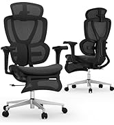 FLEXISPOT Sentinel Ergonomic Office Chair with Dual-Wing Adaptive Lumbar, 3D Armrests, 3-Position...